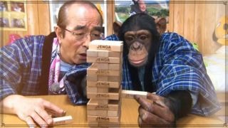 【2020年最新】パンくんは現在亡くなったは嘘!熊本の阿蘇カドリードミニオンにいる!