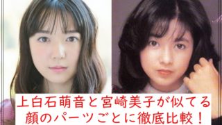 上白石萌音と宮崎美子の若い頃が似てる!顔のパーツごとに徹底比較!